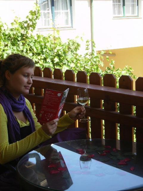 Hotel Weingut Zur Schlafmuetze Herrnbaumgarten Pokoj fotografie